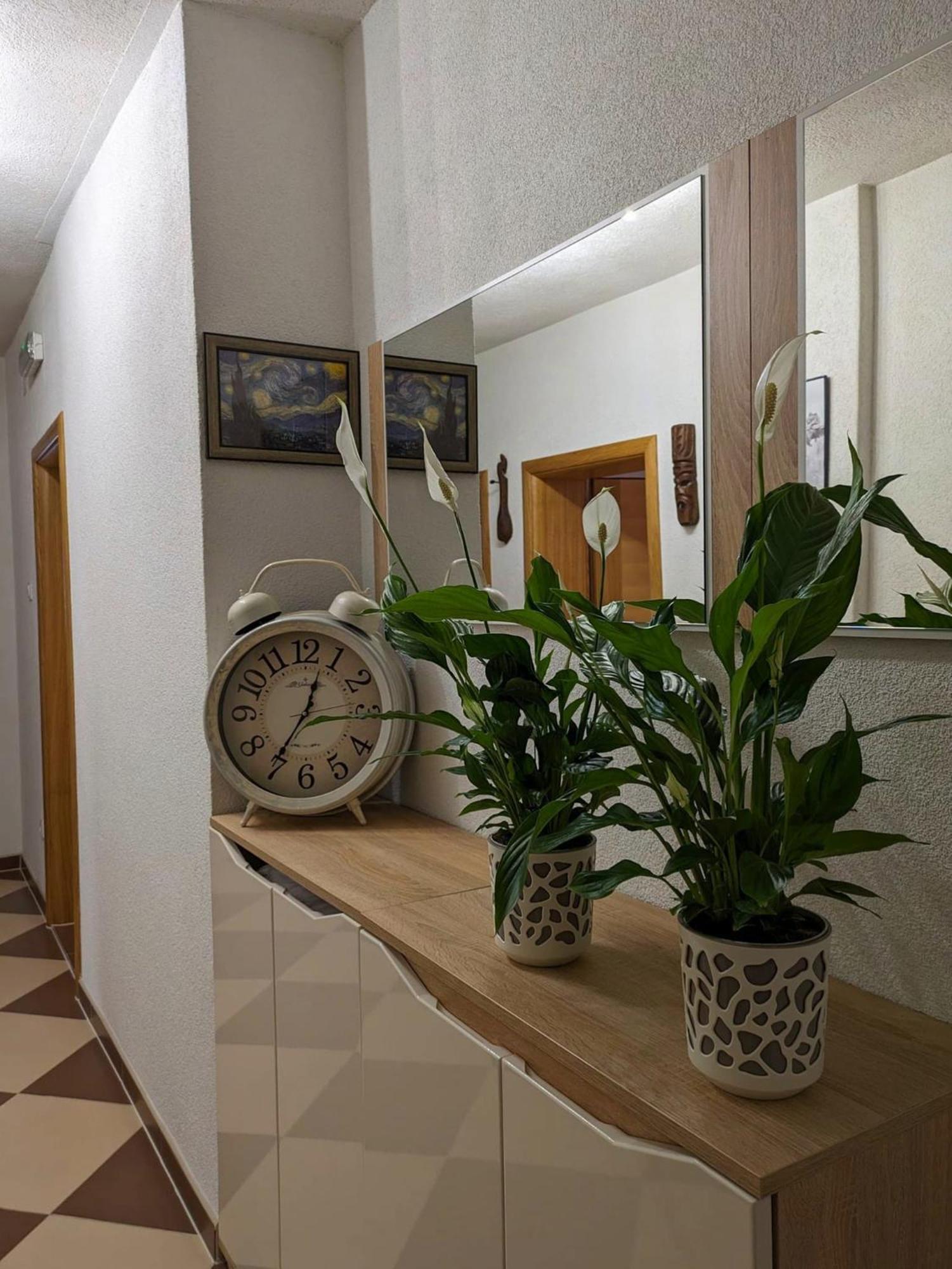 Vacation Home Keskic Velika Gata المظهر الخارجي الصورة